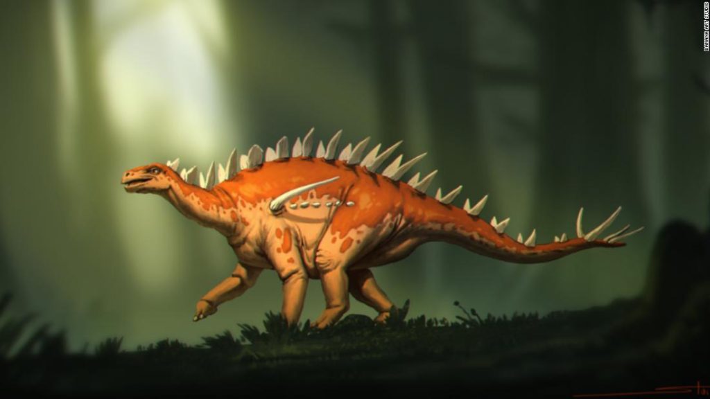 A felfedezett Stegosaurus-fosszíliák „különös tulajdonságokkal rendelkeznek”