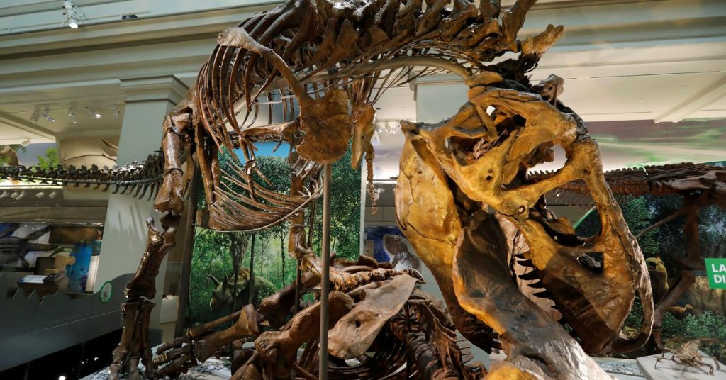 A tudósok azt sugallják, hogy a Tyrannosaurusnak három faja volt, nem csak a „Rex”