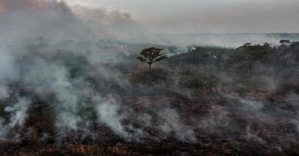 Az erdőirtás továbbra is magas a COP 26 ígéretei ellenére
