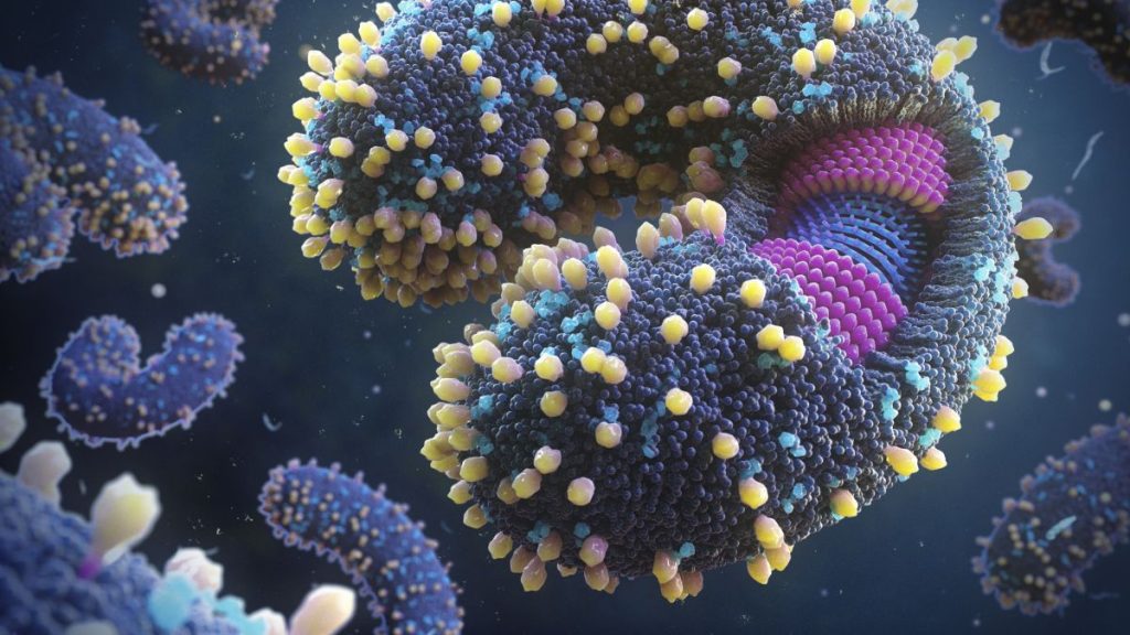 Több ezer új vírust fedeztek fel a világ óceánjaiban