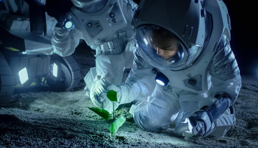 A tudósok növényeket termesztenek a Hold talajában – először az emberiség történetében