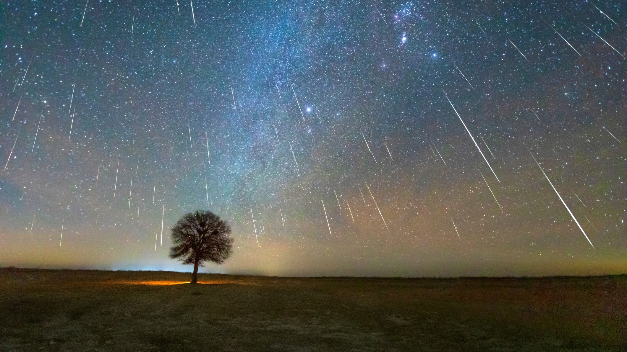 Geminid meteor fa sziluettje az előtérben.