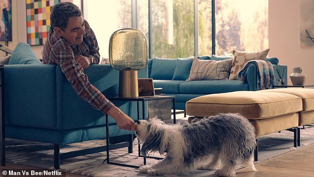 Bajokat kérve: Trevor családos ember a House Sitters Deluxe új alkalmazottja, és első nagy munkája egy luxuskastély, amely tele van felbecsülhetetlen értékű műalkotásokkal, klasszikus autókkal és a kutyával, Cupcake-vel.