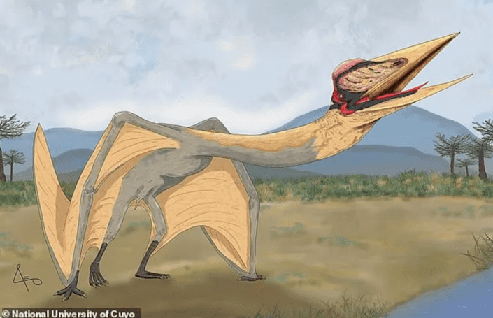 Argentínában a paleontológusok egy új típusú pterosaurus, a „Pterosaurus” kövületeit fedezték fel.  halálsárkány "