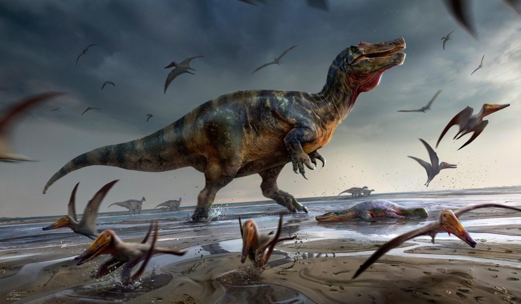 Európa legnagyobb ragadozó dinoszauruszának felfedezése a Wight-szigeten
