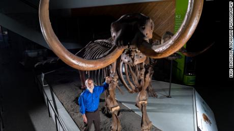 Daniel Fisher, a Michigani Egyetem paleontológusa egy Buesching-masztodon összetett csontvázával pózol.