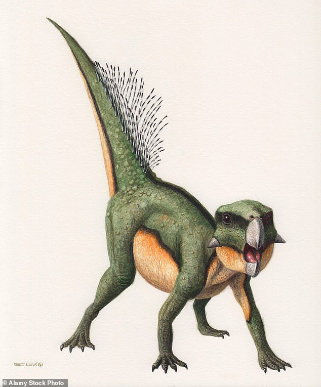 Papagáj arca: Mi volt a Tomos Psittacosaurus dinoszaurusz