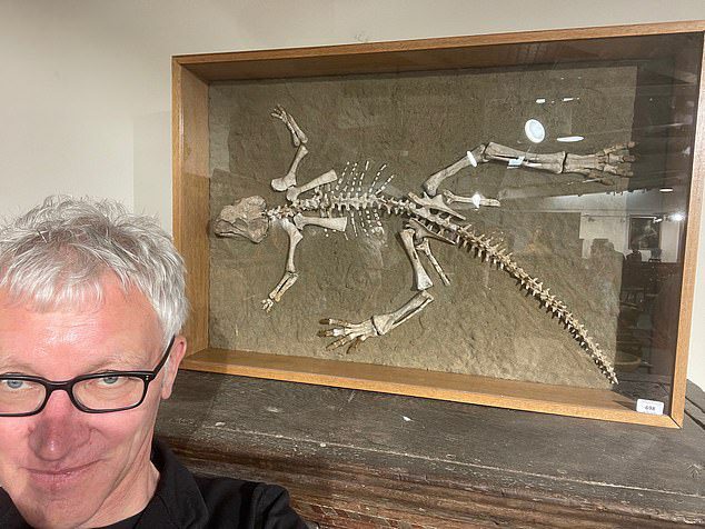 Az 54 éves férfi (a képen Tom Holland) apjával elment a waltsi Salisburyben található Woolley & Wallis-ba, hogy előadást tartson egy 97,5 és 119 millió éves Psittacosarus (papagájgyík) csontvázáról. .