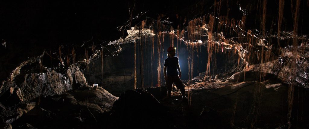 Ősi mikrobiális „sötét anyag” – több ezer ismeretlen baktériumfajt fedeztek fel Hawaii lávabarlangjaiban