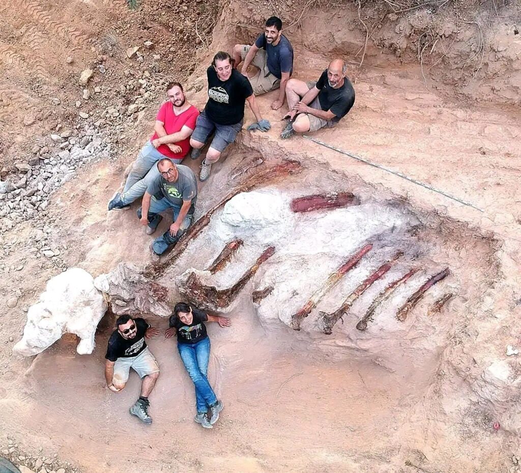 Augusztusban a paleontológusok 10 méteres bordákat gyűjtöttek.  