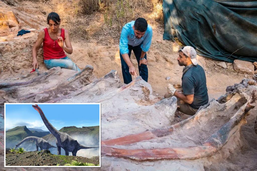 82 méter magas dinoszaurusz csontvázat találtak egy férfi hátsó udvarában Portugáliában