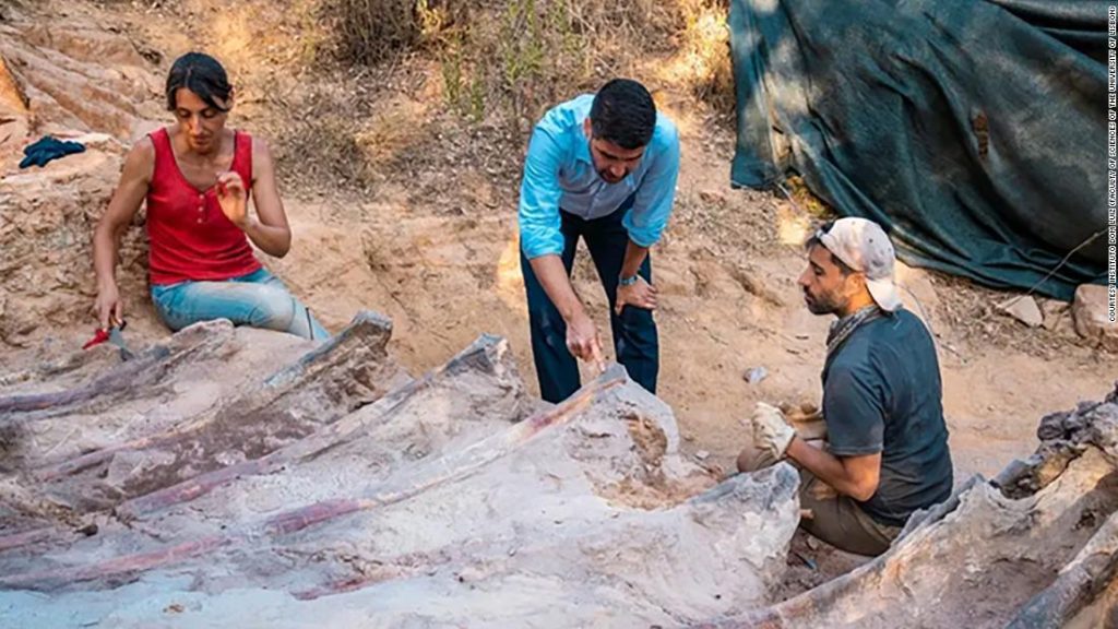Fedezzen fel egy dinoszaurusz ketrecet Portugália hátsó udvarában