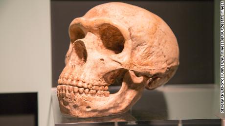 Hogyan hat a DNS Neanderthal az emberi egészségre – beleértve a Covid-19 kockázatát