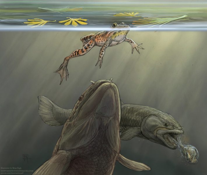 Illusztráció: egy őskori hal közeledik egy önfeledt békához a víz felszínén, és egy másik hal, aki egy békát dobál a háttérben
