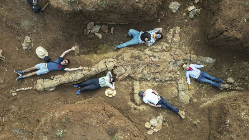 Plesiosaurus: Ausztrália kövületvadászai egy 100 millió éves csontvázat fedeztek fel