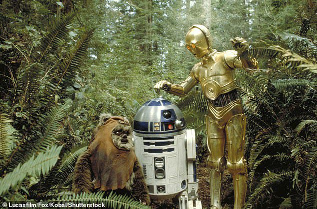 Ikonikus: Ewokot is játszott a népszerű 1983-as Star Wars: Episode VI – A Jedi visszatér című filmben (egy ewok általános képe R2-D2 és C-3PO karakterekkel