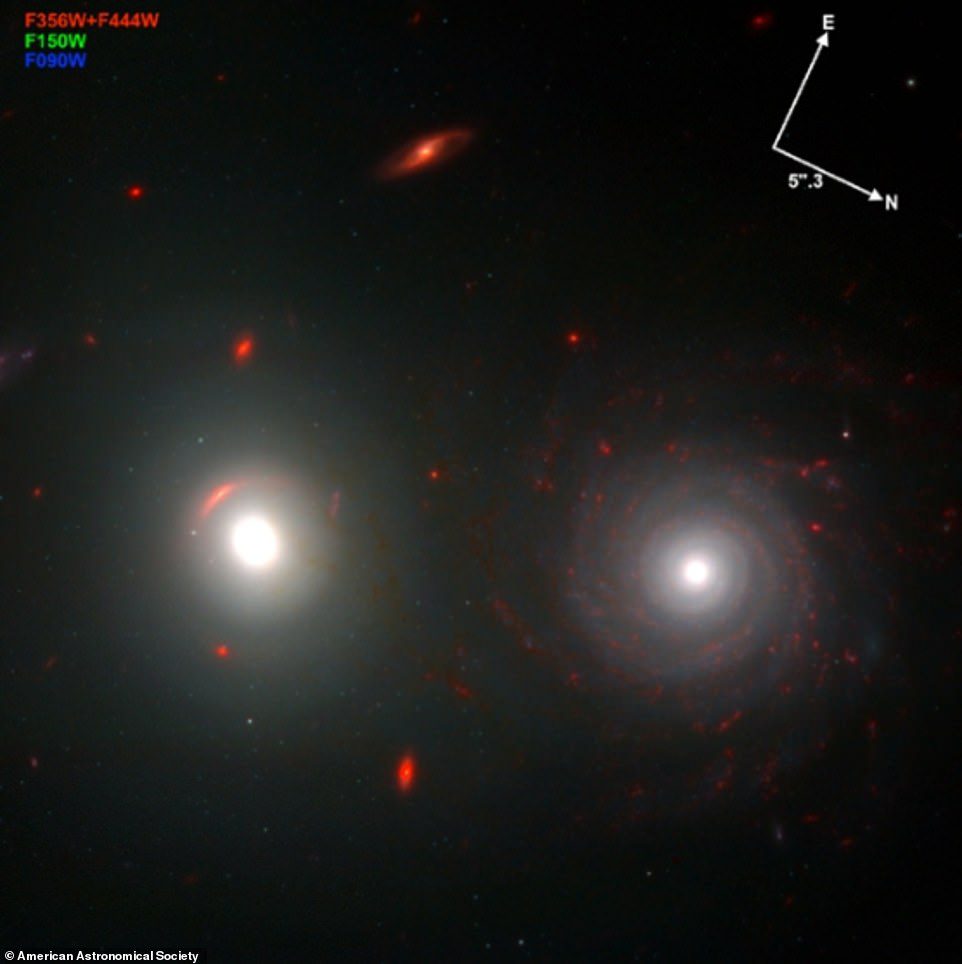 A képen különálló gömbhalmazok is láthatók távoli elliptikus galaxisok körül, és csillagképző csomópontok a spirálgalaxisokon belül (a képen)